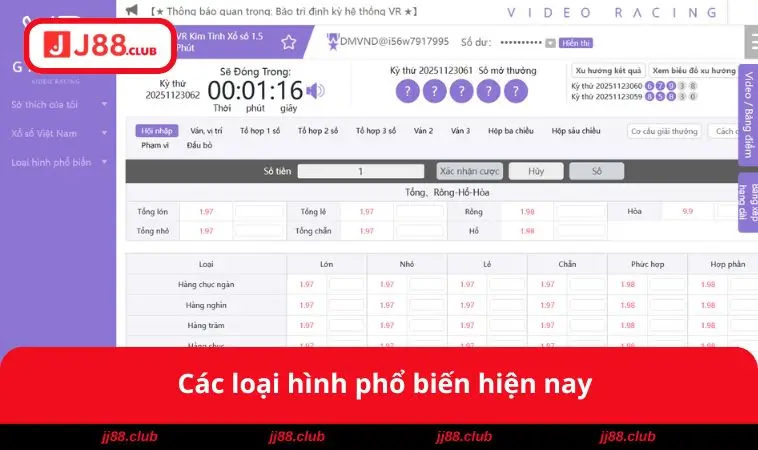 Các loại hình phổ biến 